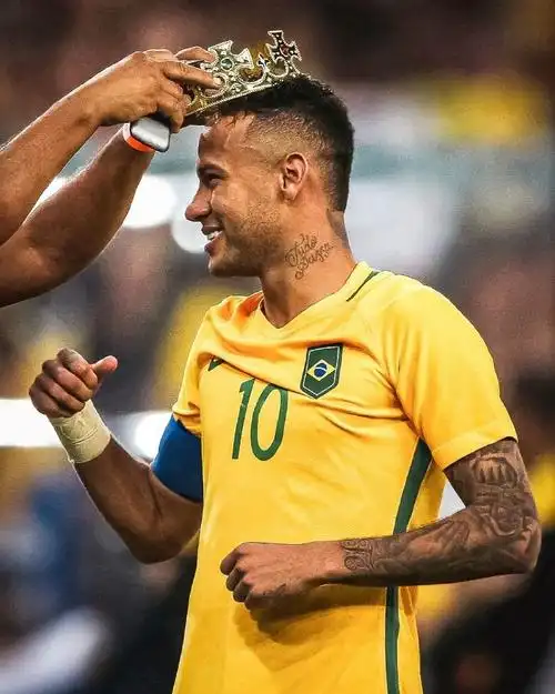 尼科的地位 尼科的地位