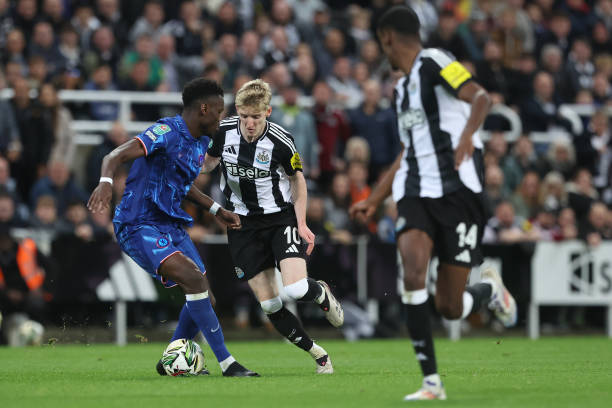 他们的晋级 他们的晋级